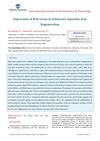 Expression of Wnt Genes in Echinaster Sepositus Arm Regeneration