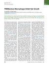 TREM2+ Macrophages Inhibit Hair Growth by Producing Oncostatin M