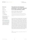 Deciphering the Biological Processes in Root Hairs Required for Nitrogen-Self-Fertilizing Cereals