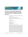 Proteomic Analysis Identifies Differentially Expressed Proteins Participating in Forming Type III Brush Hair in Yangtze River Delta White Goat