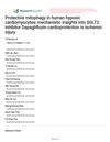 Protective Mitophagy in Human Hypoxic Cardiomyocytes: Mechanistic Insights into SGLT2 Inhibitor Dapagliflozin Cardioprotection in Ischemic Injury