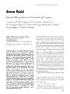 Morpho-Regulation of Ectodermal Organs