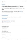 CaBP1 and 2 Enable Sustained CaV1.3 Calcium Currents and Synaptic Transmission in Inner Hair Cells