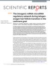 The Intragenic mRNA-microRNA Regulatory Network During Telogen-Anagen Hair Follicle Transition in the Cashmere Goat