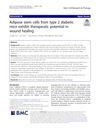 Adipose Stem Cells From Type 2 Diabetic Mice Exhibit Therapeutic Potential In Wound Healing