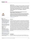 Mechanistic Synergy of Hair Growth Promotion by the Avicennia Marina Extract and Its Active Constituent Avicequinone C in Dermal Papilla Cells Isolated From Androgenic Alopecia Patients