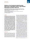 Deletion of the Developmentally Essential Gene ATR in Adult Mice Leads to Age-Related Phenotypes and Stem Cell Loss