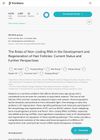The Roles of Non-Coding RNA in the Development and Regeneration of Hair Follicles: Current Status and Further Perspectives