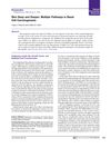 Skin Deep and Deeper: Multiple Pathways in Basal Cell Carcinogenesis
