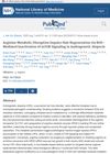 Arginine Metabolic Disruption Impairs Hair Regeneration via ROS-Mediated Inactivation of mTOR Signaling in Androgenetic Alopecia