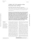 CD98hc (SLC3A2) Regulation of Skin Homeostasis Wanes With Age