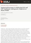 Engineered Exosomes Co-Delivering EGF and FGF Ameliorate Androgenetic Alopecia in a Mouse Model