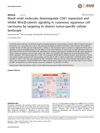 Novel Small Molecules Downregulate CDK1 Expression and Inhibit Wnt/β-Catenin Signaling in Cutaneous Squamous Cell Carcinoma by Targeting Its Distinct Tumor-Specific Cellular Landscape