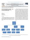 Ovarian Leydig Cell Hyperplasia as a Rare Cause of Hair Loss in a Postmenopausal Female Patient: A Case Report and Diagnostic Approach Toward Postmenopausal Hyperandrogenism