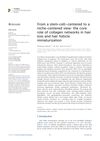 From a Stem-Cell-Centered to a Niche-Centered View: The Core Role of Collagen Networks in Hair Loss and Hair Follicle Miniaturization