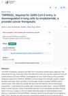 TMPRSS2, Required for SARS-CoV-2 Entry, Is Downregulated in Lung Cells by Enzalutamide, a Prostate Cancer Therapeutic