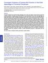 Convergent Evolution of Cysteine-Rich Keratins in Hard Skin Appendages of Terrestrial Vertebrates