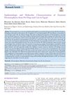 Epidemiologic and Molecular Characterization of Zoonotic Dermatophytes from Pet Dogs and Cats in Egypt