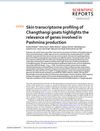 Skin Transcriptome Profiling of Changthangi Goats Highlights the Relevance of Genes Involved in Pashmina Production