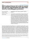 MOF-Mediated Histone H4 Lysine 16 Acetylation Governs Mitochondrial and Ciliary Functions by Controlling Gene Promoters