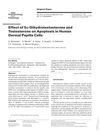 Effect of 5α-Dihydrotestosterone and Testosterone on Apoptosis in Human Dermal Papilla Cells