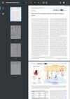 Advances In The Mechanism And New Therapies Of Alopecia Areata