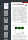 The Role of EAAT4 in Epidermal Differentiation and Calcium Homeostasis During Aging