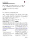 Solid State NMR of Isotope Labeled Murine Fur: A Powerful Tool to Study Atomic Level Keratin Structure and Treatment Effects