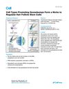 Cell Types Promoting Goosebumps Form a Niche to Regulate Hair Follicle Stem Cells