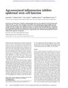 Age-Associated Inflammation Inhibits Epidermal Stem Cell Function