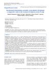 Intralesional Triamcinolone Acetonide Versus Platelet-Rich Plasma: A Comparative Study in the Treatment of Alopecia Areata of Scalp