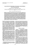 Sulfation of Minoxidil by Human Liver Phenol Sulfotransferase