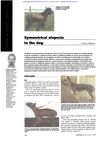 Symmetrical Alopecia in Dogs: Diagnosis and Treatment