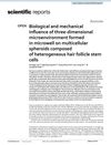 Biological and Mechanical Influence of Three-Dimensional Microenvironment Formed in Microwell on Multicellular Spheroids Composed of Heterogeneous Hair Follicle Stem Cells