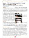 Multiracial Variations in Anatomical Location of the Occipital Artery and Nerve Complex: A Key to Avoiding Injury Prior to Strip Harvesting