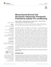 Mesenchymal Stromal Cell Secretome: Influencing Therapeutic Potential by Cellular Pre-Conditioning