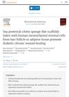 Soy Protein/Beta-Chitin Sponge-Like Scaffolds Laden With Human Mesenchymal Stromal Cells Promote Diabetic Chronic Wound Healing
