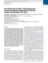 Hair Follicle Dermal Stem Cells Regenerate the Dermal Sheath, Repopulate the Dermal Papilla, and Modulate Hair Type
