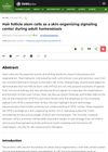 Hair Follicle Stem Cells as a Skin-Organizing Signaling Center During Adult Homeostasis