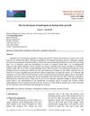 The Involvement of Androgens in Human Hair Growth