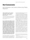 P53 Involvement in the Control of Murine Hair Follicle Regression