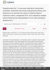 A One-Year Exploratory Randomized, Controlled, Multicentric Pilot Study Evaluating the Efficacy and Tolerance of an Anti-Hair Loss Serum Containing Silybum Marianum Extract, Manganese PCA, and Lespedeza Capitata Extract Following Hair Transplantation in Men with Androgenic Alopecia