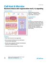 Bacteria Induce Skin Regeneration via IL-1β Signaling