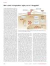 Wnt Is Back in Drugmakers' Sights, but Is It Druggable?