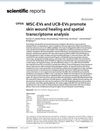 MSC-EVs and UCB-EVs Promote Skin Wound Healing and Spatial Transcriptome Analysis
