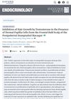 Inhibition of Hair Growth by Testosterone in the Presence of Dermal Papilla Cells from the Frontal Bald Scalp of the Postpubertal Stumptailed Macaque