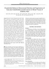 Finasteride Reduces Microvessel Density and Expression of Vascular Endothelial Growth Factor in Renal Tissue of Diabetic Rats