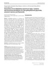 Extractives of Cercidiphyllum Japonicum Twigs: Isolation and Structural Elucidation of a New Galloylflavonol Glycoside, Anomeric Tannins and Flavonoids
