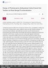 Design of Photodynamic Antibacterial Cotton and Camel Hair Textiles via Rose Bengal Functionalization
