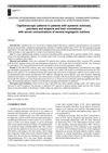 Capillaroscopic Patterns in Patients with Systemic Sclerosis, Psoriasis, and Alopecia and Their Correlations with Serum Concentrations of Several Angiogenic Markers